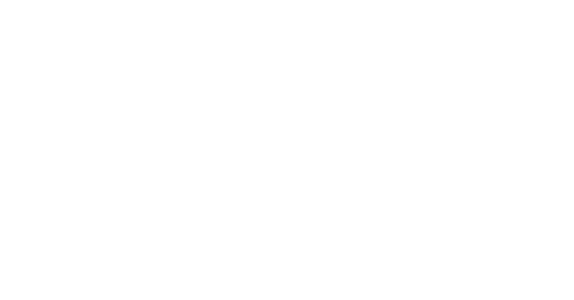 AMI-Logo-White